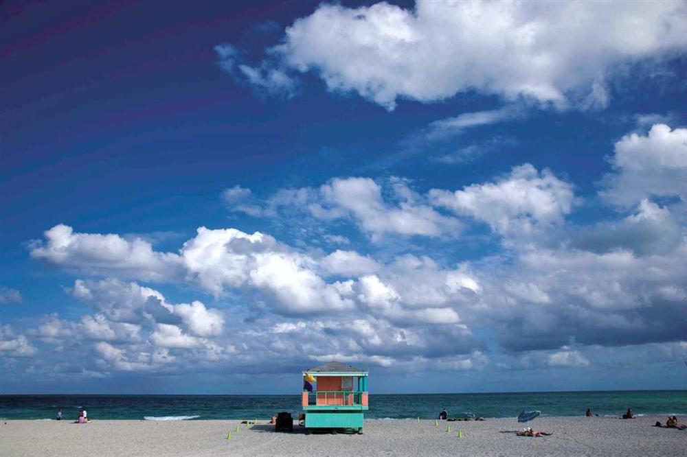 Hilton Grand Vacations Suites At South Beach Miami Beach Naturaleza foto